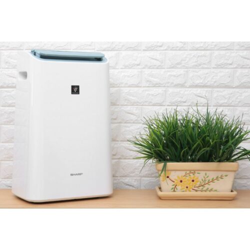 anh may loc khong khi va hut am sharp dw e16fa w